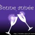 Bonne Année 2010