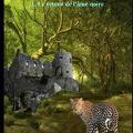 Premier livre de Mael à découvrir : LES ANIMAUX LÉGENDAIRES