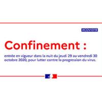 Cours en visio et animations en ligne